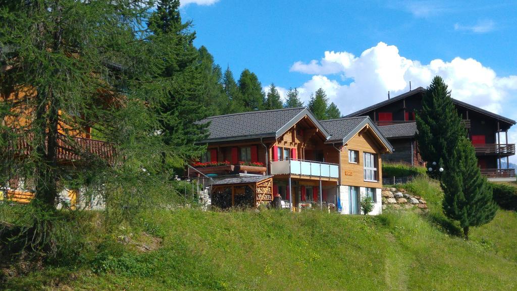 Chalet Enzian Riederalp Luaran gambar