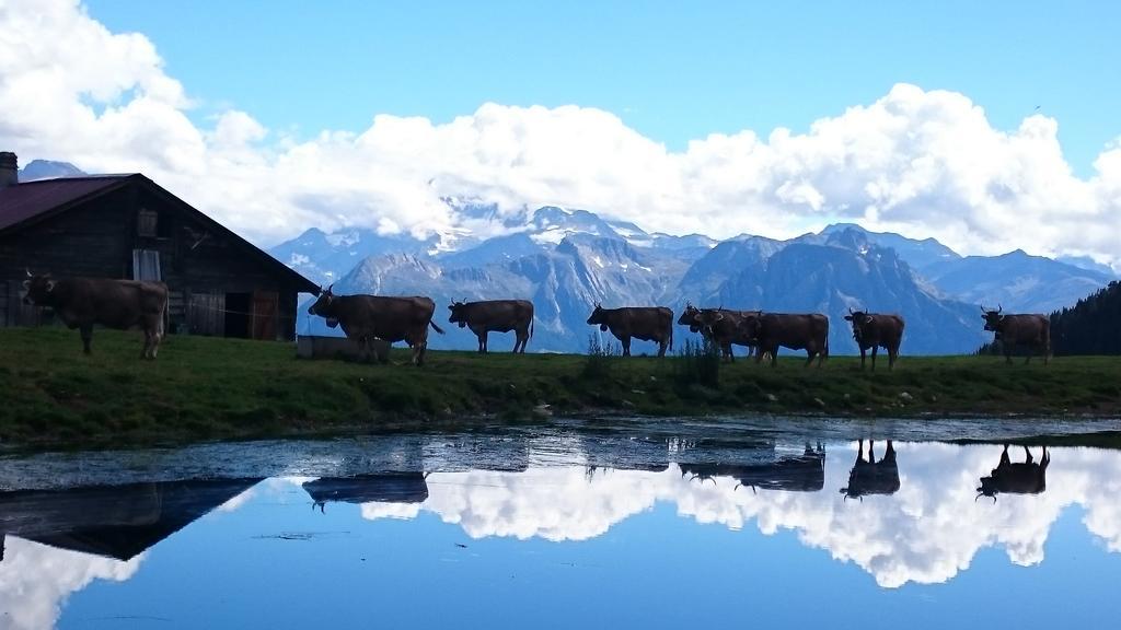 Chalet Enzian Riederalp Luaran gambar